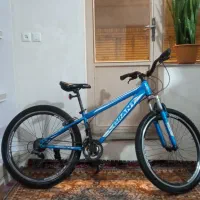 دوچرخه جیانت اصل