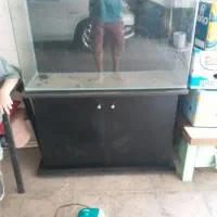 اکواریم شرکتی