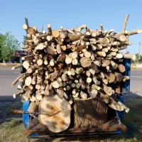 خرید درخت، چوب و هیزم