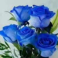 فروش خط تلفن ثابت