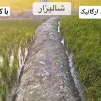 کود ارگانیک مخصوص افزایش محصول و رشد سریع|خدمات باغبانی و درختکاری|مشهد, کلاهدوز|دیوار