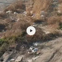 1000متر-زمین-برای-اجاره-مناسب-انبار-چوب-یا-ضایعات