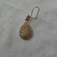 گوشواره گم شده