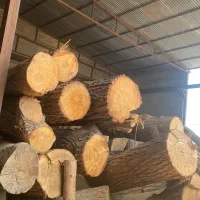 خرید وفروش