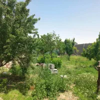 باغ نزدیک شهر