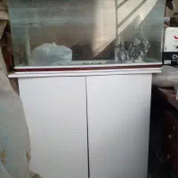 آکواریوم با لوازم و کمد زیر آن|ماهی|فردیس, فردیس|دیوار