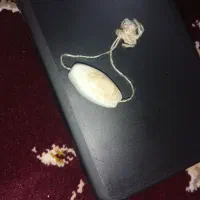 سنگ قیمتی شیر زن حامله