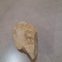 سنگ فسیلی سرامیکی