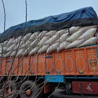 کاه گندم درجه یک