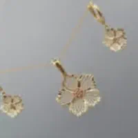 طلا پیدا شده بوشهر