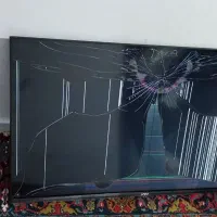 تلویزیون یونیوا|تلویزیون و پروژکتور|سلمانشهر, |دیوار