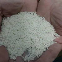برنج هاشمی درجه یک