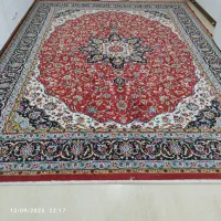 فرش ماشینی|فرش|سلماس, |دیوار