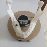 دستیار دندانپزشک