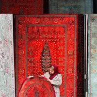 فرش کلکسیون رنگ سبز و لاکی ۱۵۰۰ شانه تراکم ۴۵۰۰|فرش|شیراز, شهرک سراج‎|دیوار