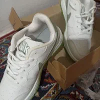 نایک
