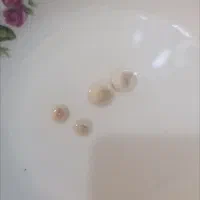 کهربا مورچه دار|کلکسیون اشیاء عتیقه|اردل, |دیوار