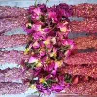 قندو نبات|خوردنی و آشامیدنی|تهران, مشیریه|دیوار