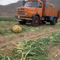 بنز تک باری|خودرو سنگین|سرچهان, |دیوار