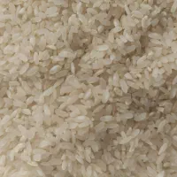 برنج کامفیروزی