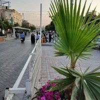 ارزان‌تر وبه صرفه تر تورمشهد تیر مرداد وشهریورماه