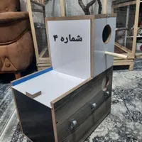 عروس هلندی . قفس پرنده . لونه پرنده|پرنده|رباط‌کریم, |دیوار
