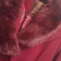 پالتو