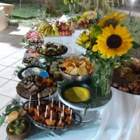 دیزاین مجالسها|خدمات پذیرایی، مراسم|همدان, |دیوار