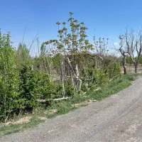 600-متر-باغچه-احمد-آباد-مستوفی