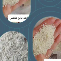لاشه هاشمی
