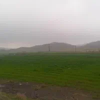 زمین ویلایی زواریان|فروش زمین و ملک کلنگی|قم, باجک سه|دیوار