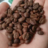 قهوه تضمینی و تازه