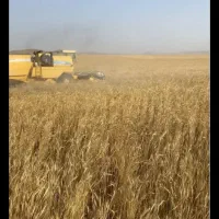 زمین کشاورزی با آب کافی