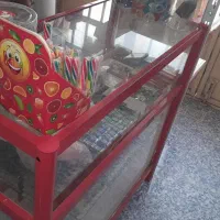 فروش لوازم سوپرمارکت به صورت یکجا|فروشگاه و مغازه|بندرعباس, |دیوار