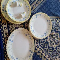 آرکوپال پنسی|ظروف سرو و پذیرایی|خمینیشهر, |دیوار