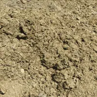 کود گاوی و گوسفندی