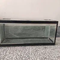 اکواریوم|لوازم جانبی حیوانات|خرمآباد, |دیوار