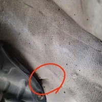 پراید مدل 98|خودرو سواری و وانت|کوهدشت, |دیوار