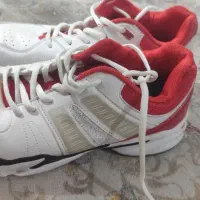 کتونی|کیف، کفش، کمربند|شهریار, شهریار|دیوار