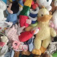 60عدد عروسک سیسمونی