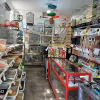 قفس وسایل دان پرندگان زینتی