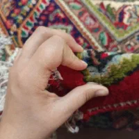 فرش دستبافت 9متری خواب رفته|فرش|تبریز, |دیوار