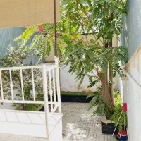 سالن مطالعه دخترانه طلوع|خدمات آموزشی|مشهد, دانشجو|دیوار