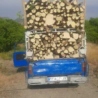 خریدارچوب وبریدن درخت|خدمات باغبانی و درختکاری|بندرعباس, |دیوار