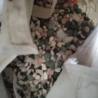 آکواریوم تاج دار و بخاری اکواریوم|ماهی|تربتحیدریه, یحیی آباد|دیوار