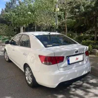 سراتو تک برگ سند واقعی
