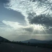 داوطلبانه