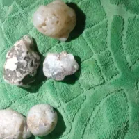 سنگ خاص|کلکسیون اشیاء عتیقه|محمدیه-قزوین, |دیوار