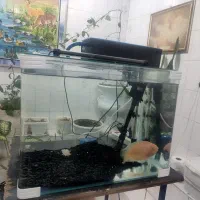 اکواریوم کامل شرکتی با ماهی