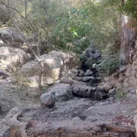 تور نیمروزه ی انگلیسی|تور و چارتر|فشم, |دیوار